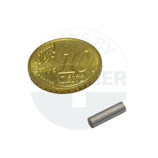 Bar magnet cylinder shape 3x10mm | © Brugger GmbH