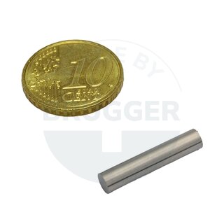 Bar magnet cylinder shape 4x20mm | © Brugger GmbH