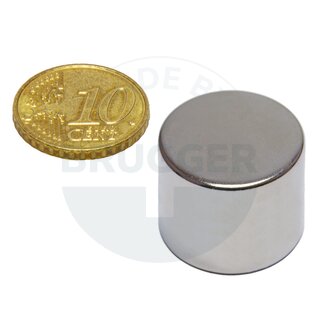 Disc magnet of NdFeB, until 80°C | © Brugger GmbH